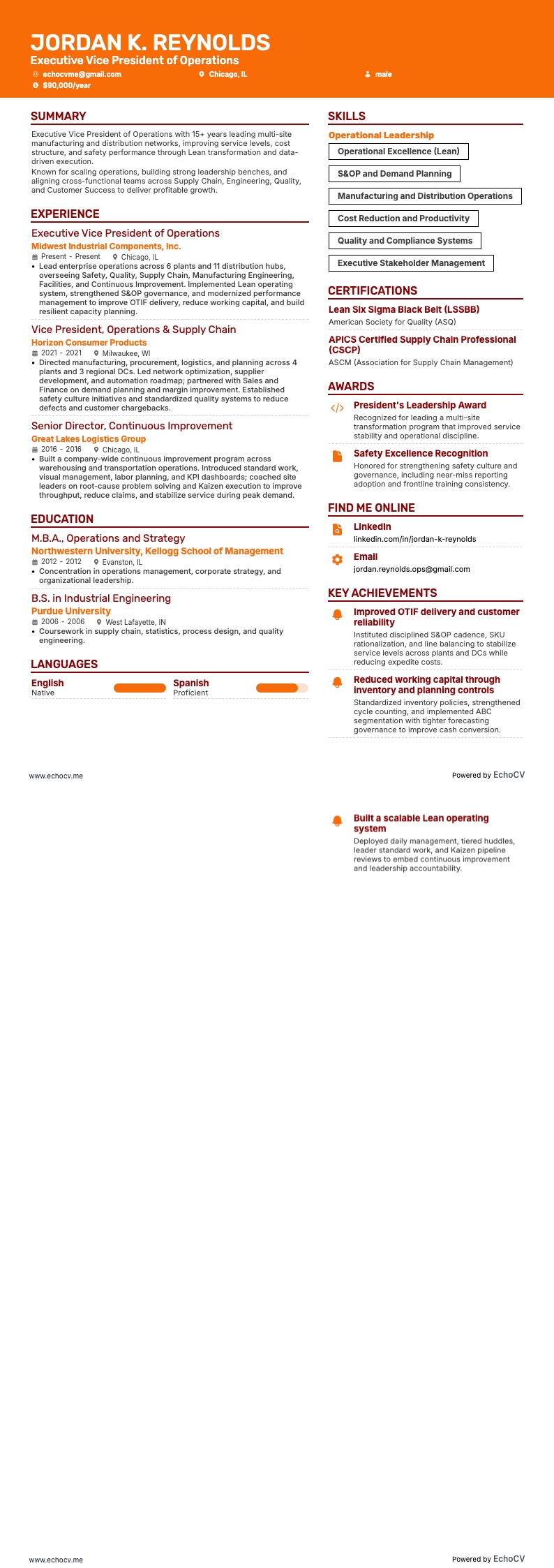 운영 담당 수석 부사장 example resume