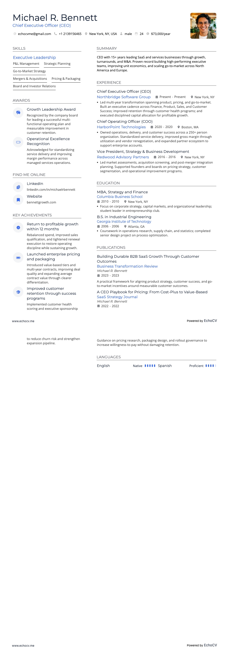 최고경영자(CEO) example resume