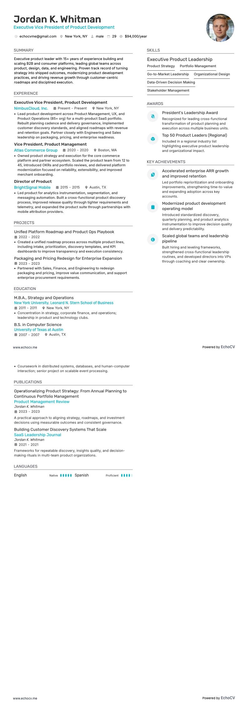 제품 개발 수석 부사장 example resume