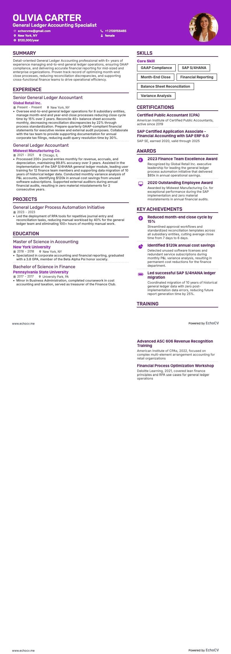 総勘定元帳会計 example resume