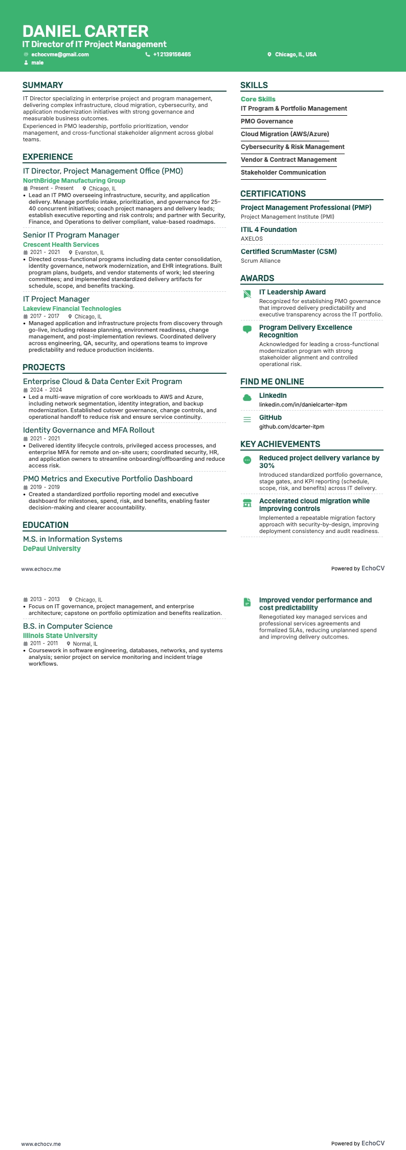 IT Director of IT Project Management example resume