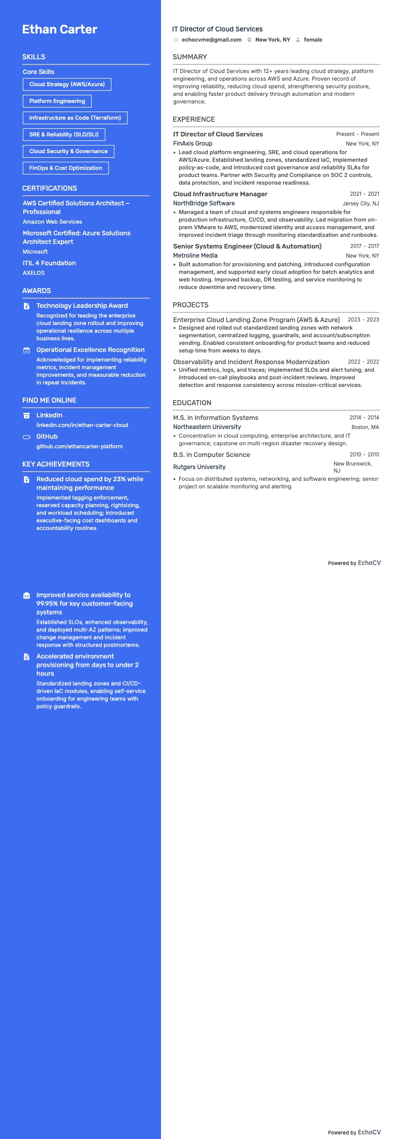 IT总监 resume example