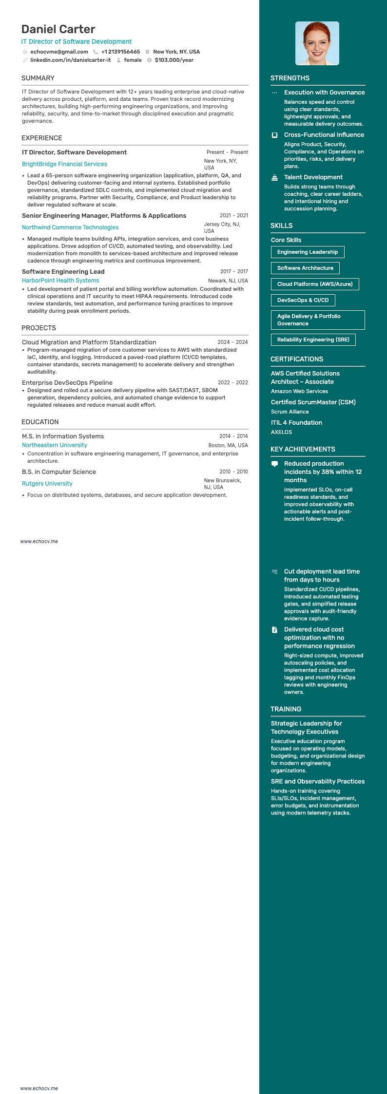 IT Director of Software Development example resume