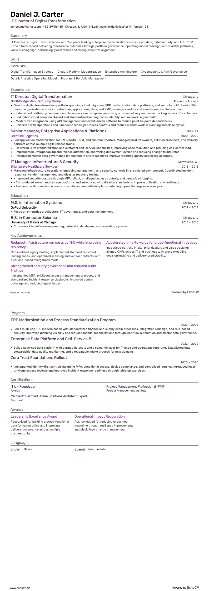 IT Director of Digital Transformation example resume