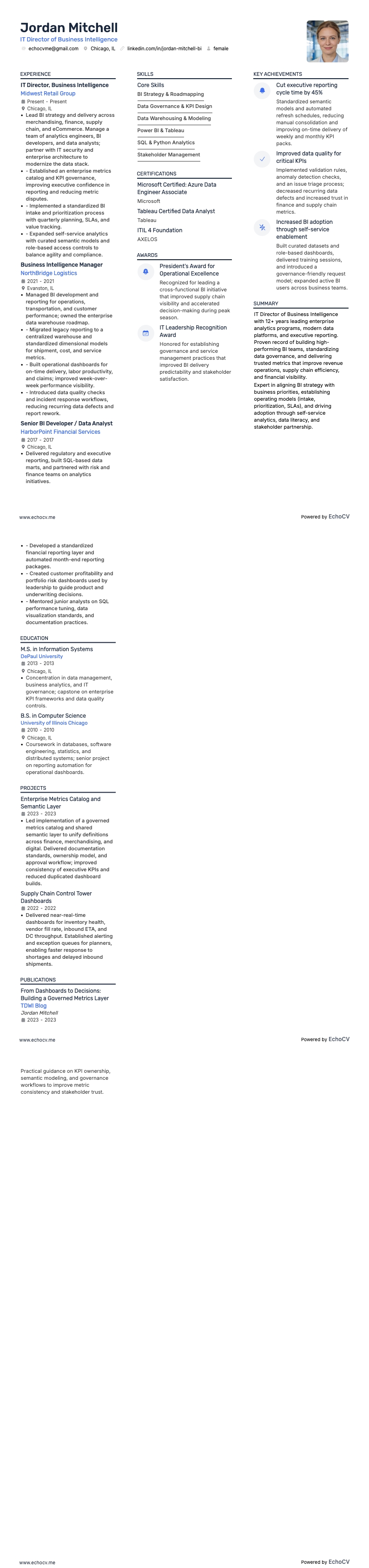 IT Director of Business Intelligence example resume