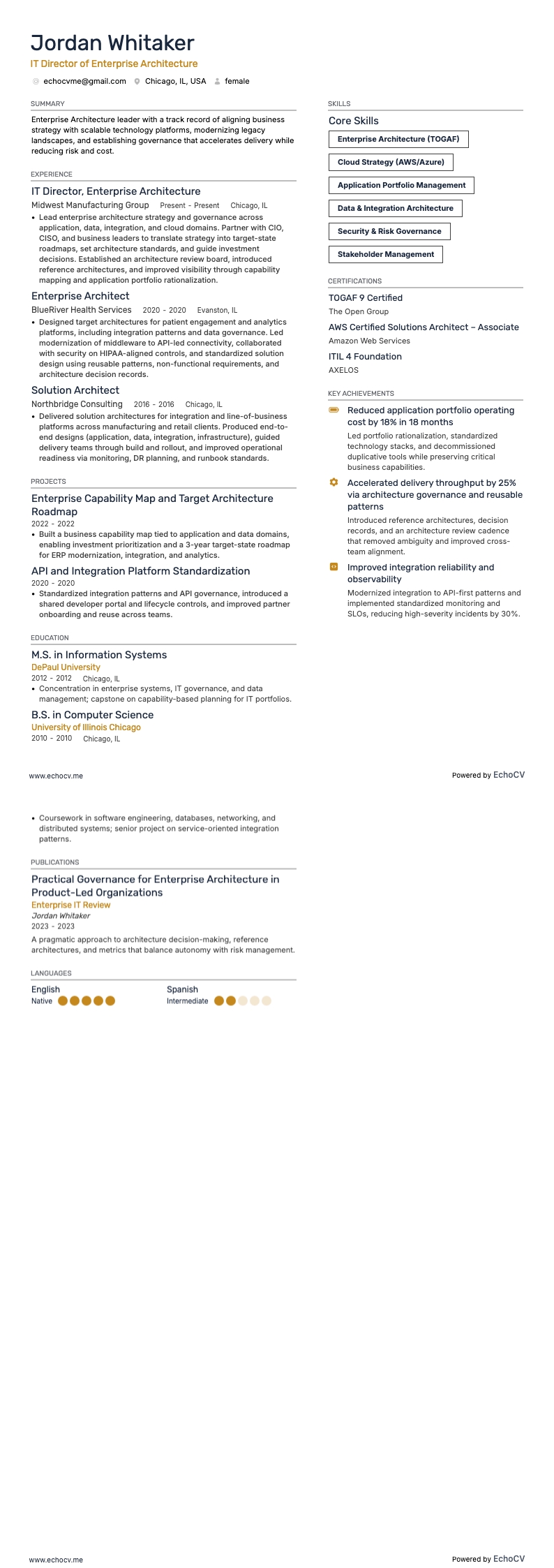 IT Director of Enterprise Architecture example resume