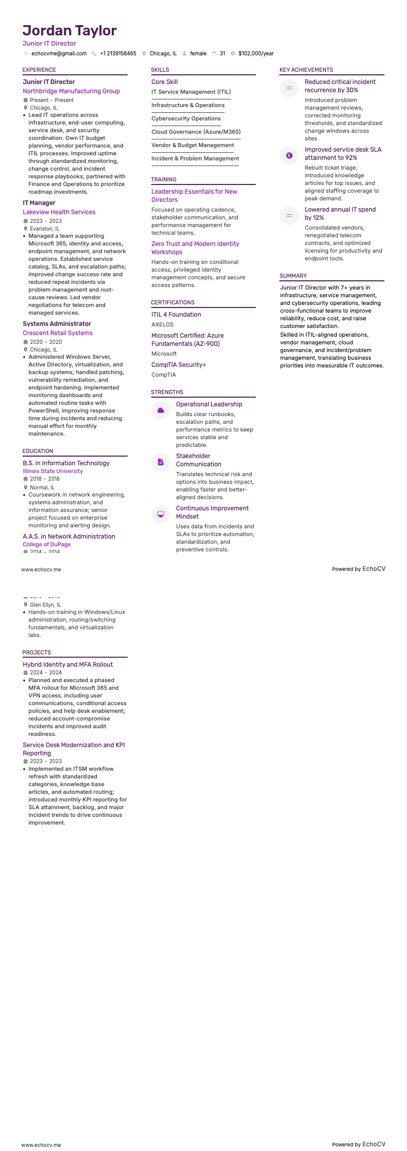 Junior IT Director example resume