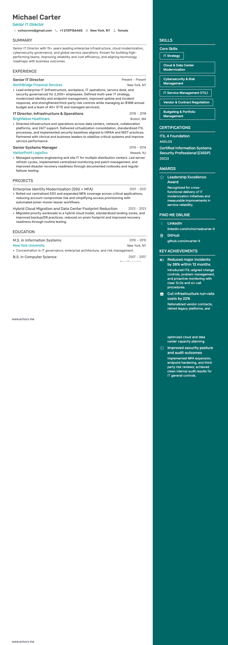 Senior IT Director example resume