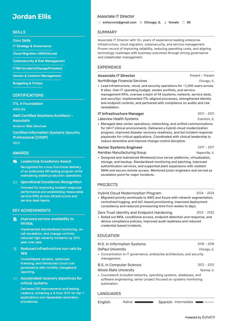 Associate IT Director full preview