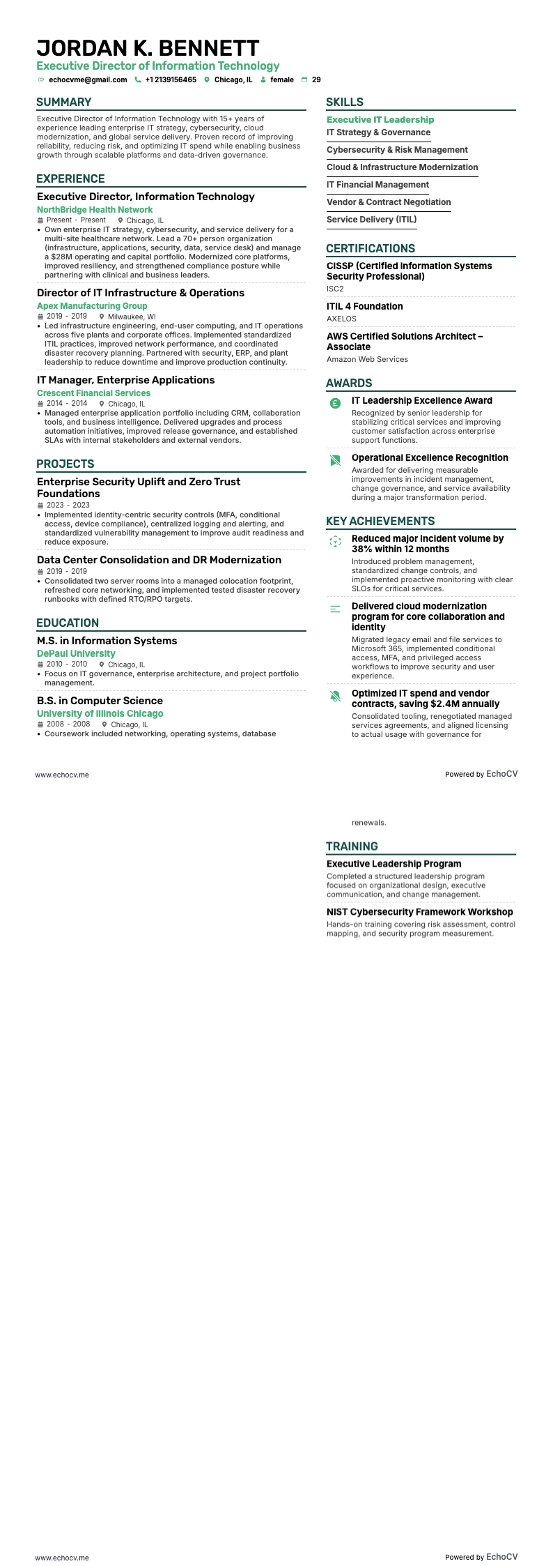 Giám đốc điều hành công nghệ thông tin example resume