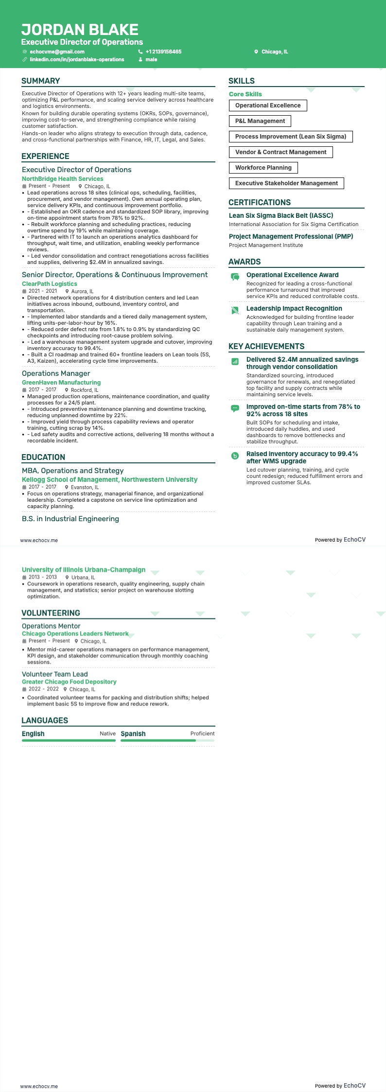 Giám đốc điều hành vận hành example resume