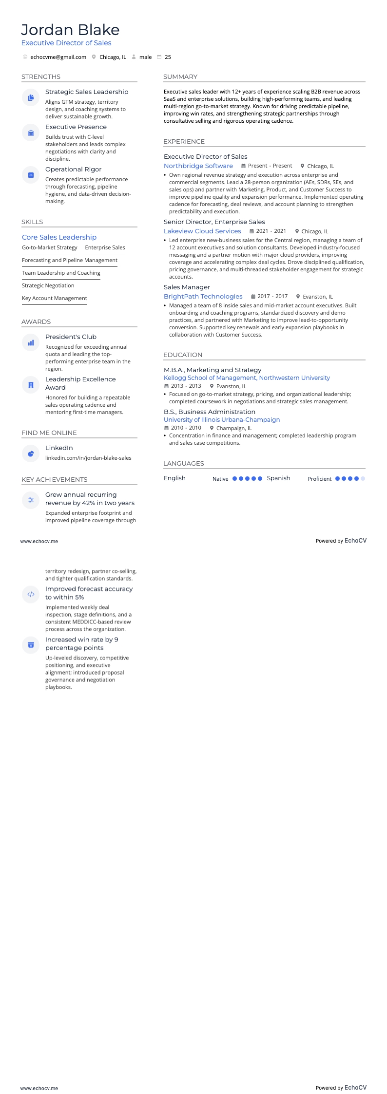Giám đốc điều hành bán hàng example resume