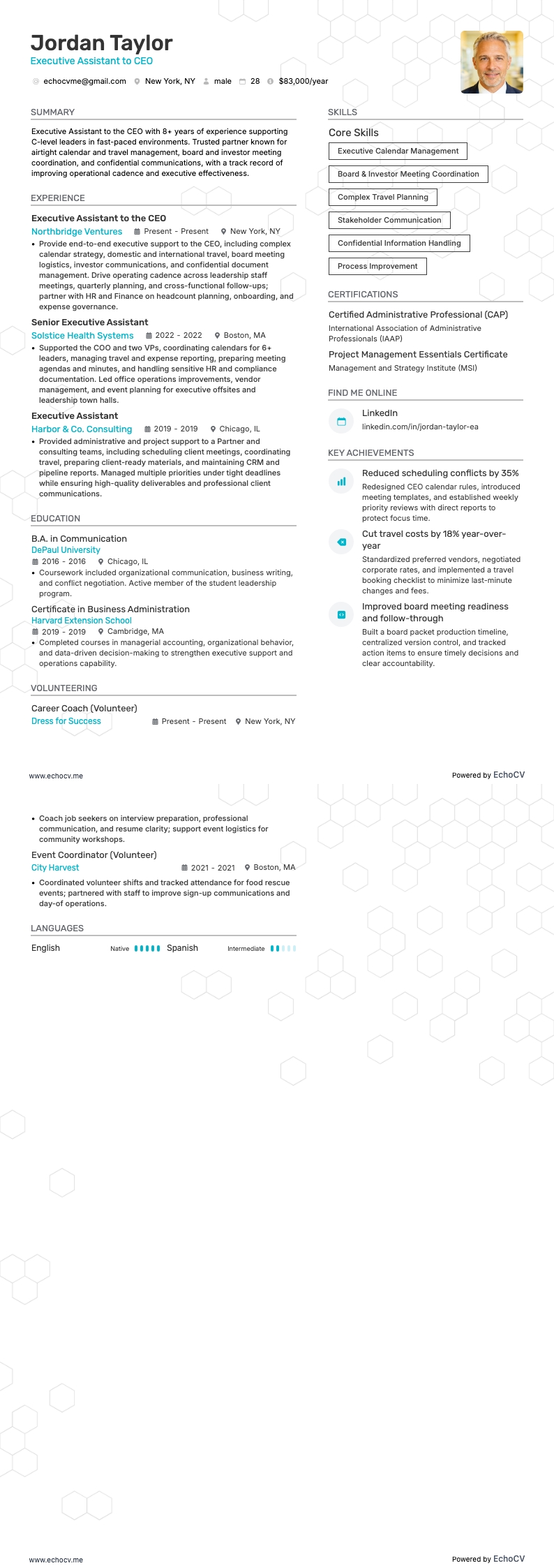 Assistente executivo/a do CEO resume example