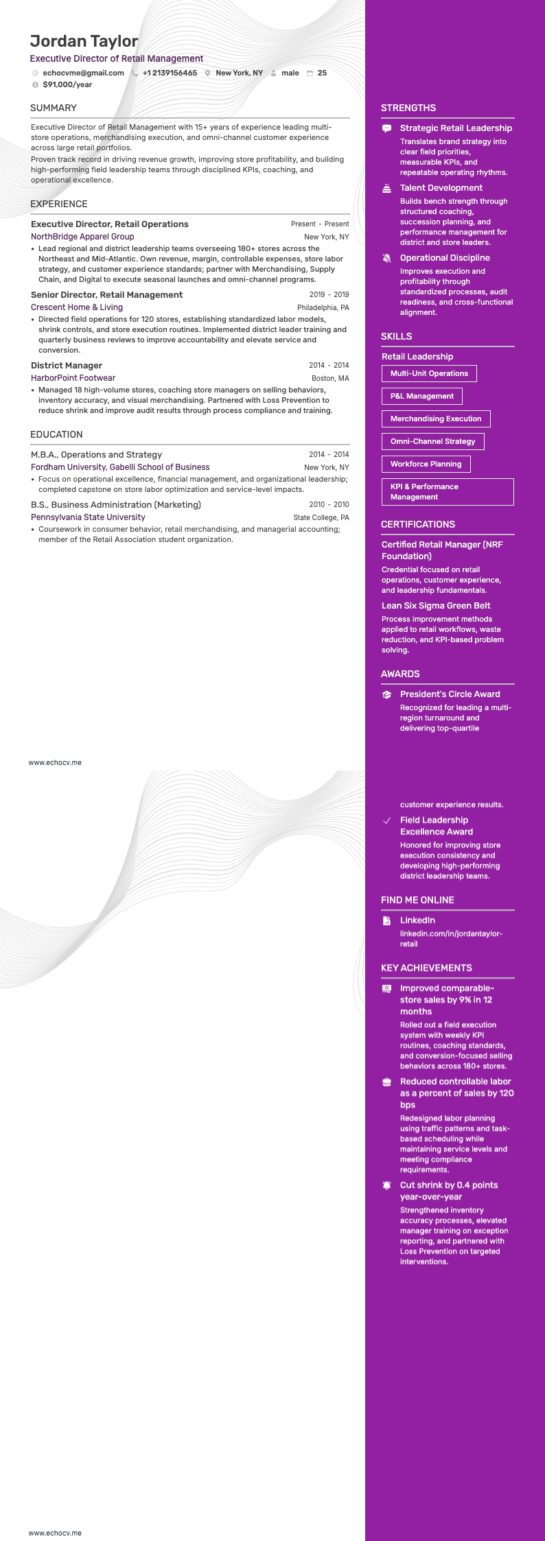 Giám đốc điều hành resume example