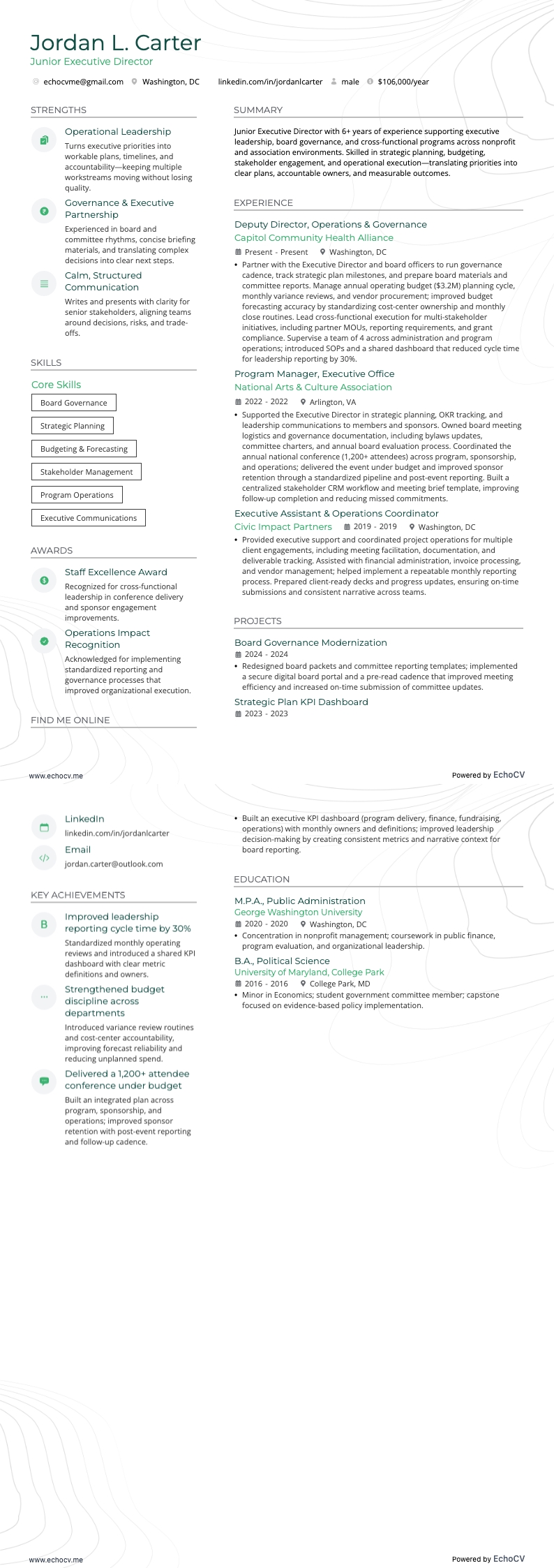 Giám đốc điều hành cấp junior example resume