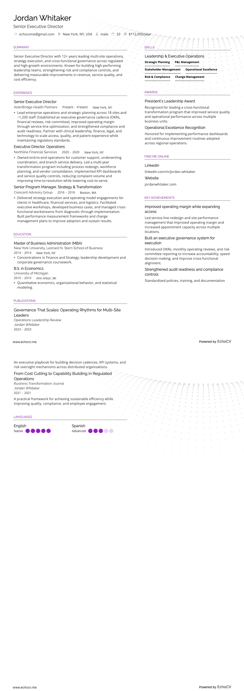 Giám đốc điều hành cấp cao example resume