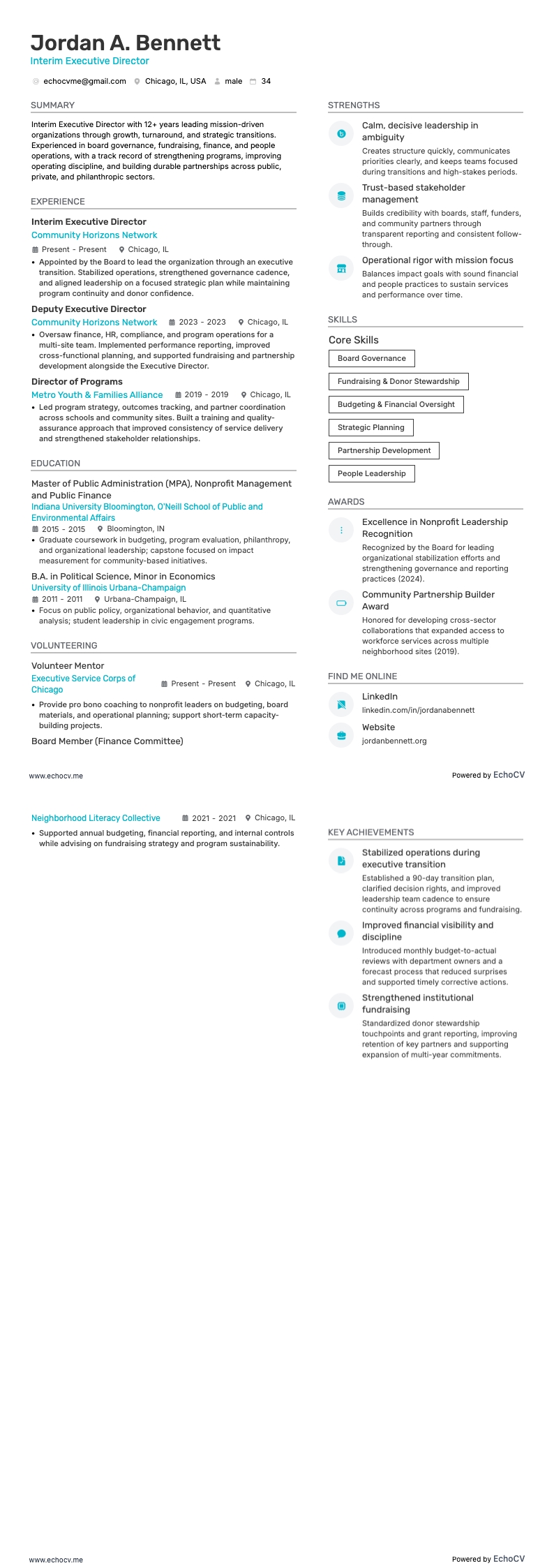 Giám đốc điều hành tạm thời example resume