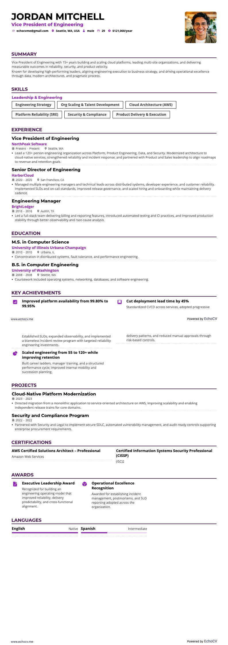 Vicepresidente de Ingeniería example resume