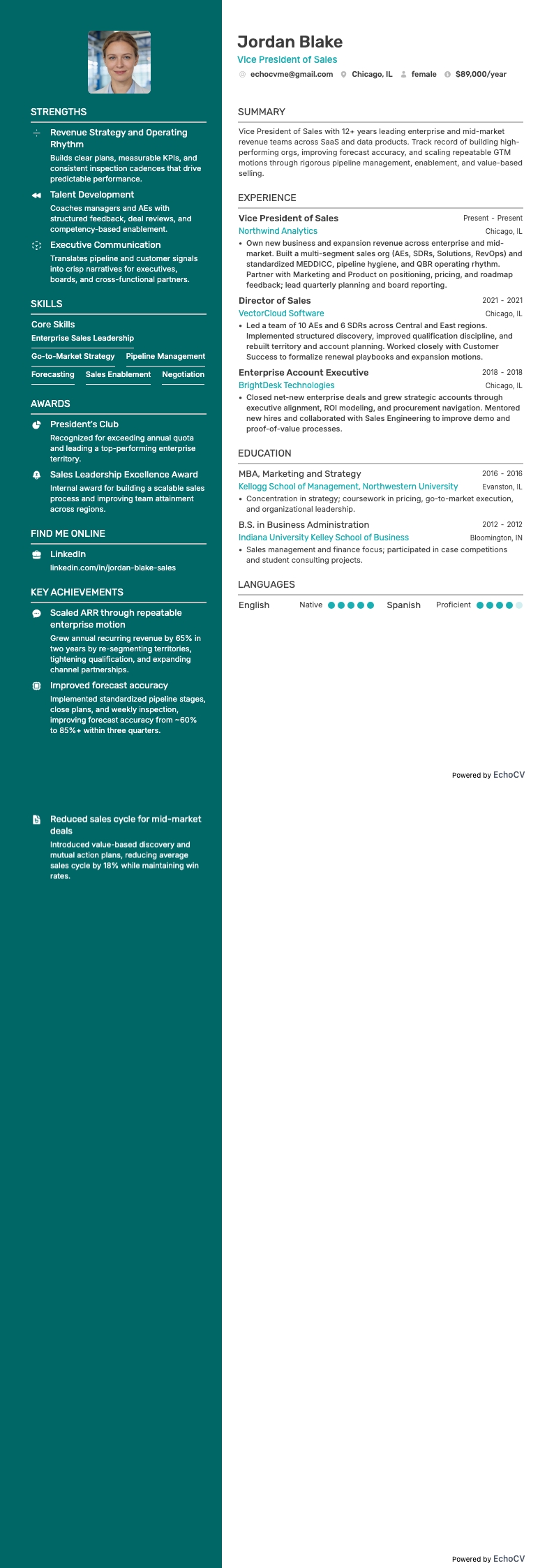 Vicepresidente de Ventas example resume