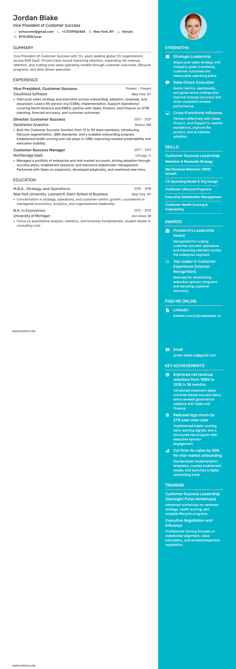 Vicepresidente de Éxito del Cliente example resume