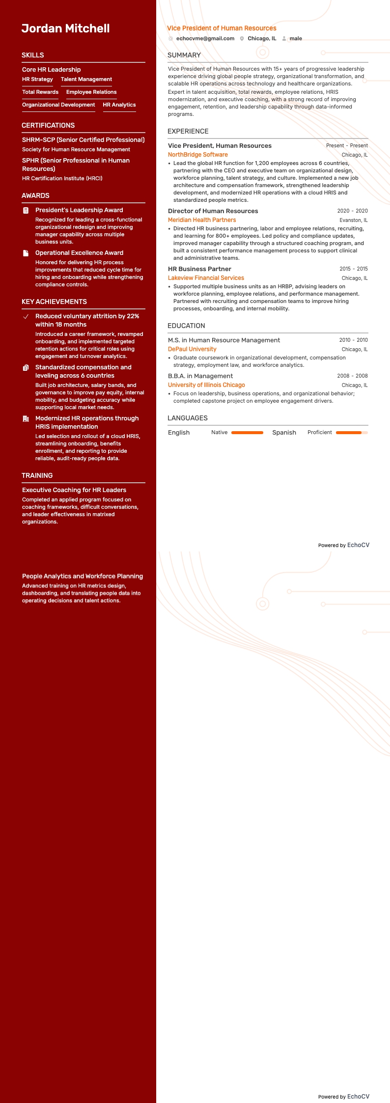 Vicepresidente de Recursos Humanos example resume