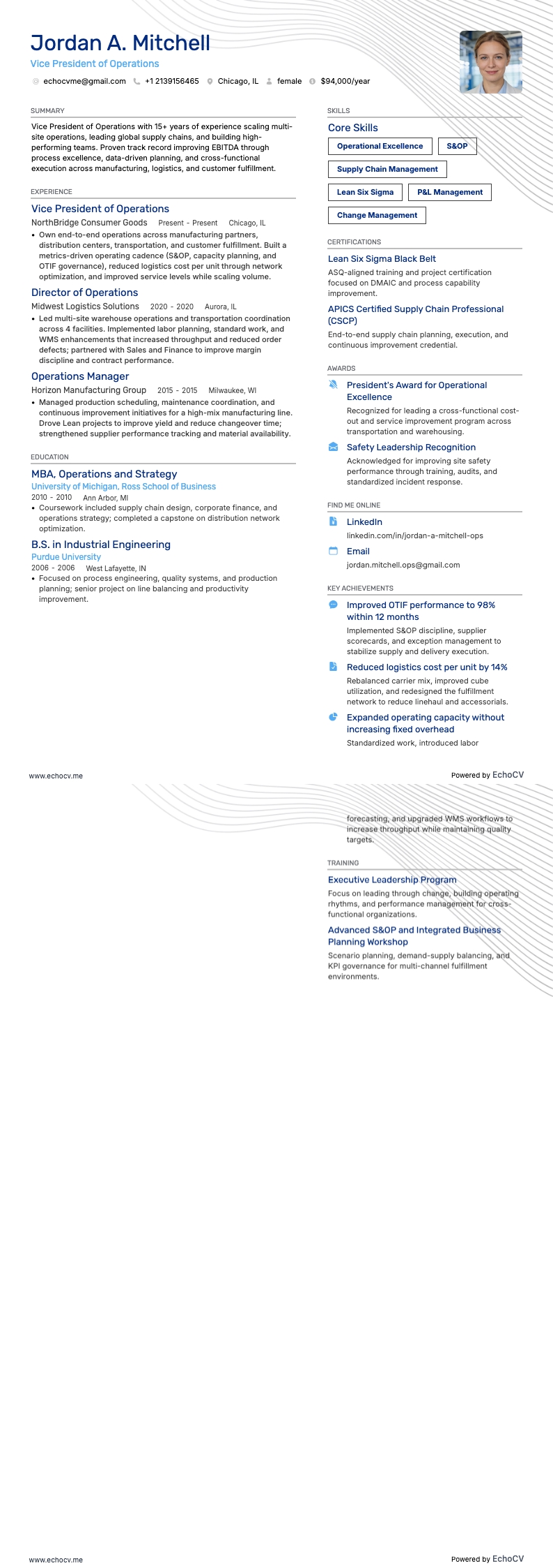 Vicepresidente de Operaciones example resume