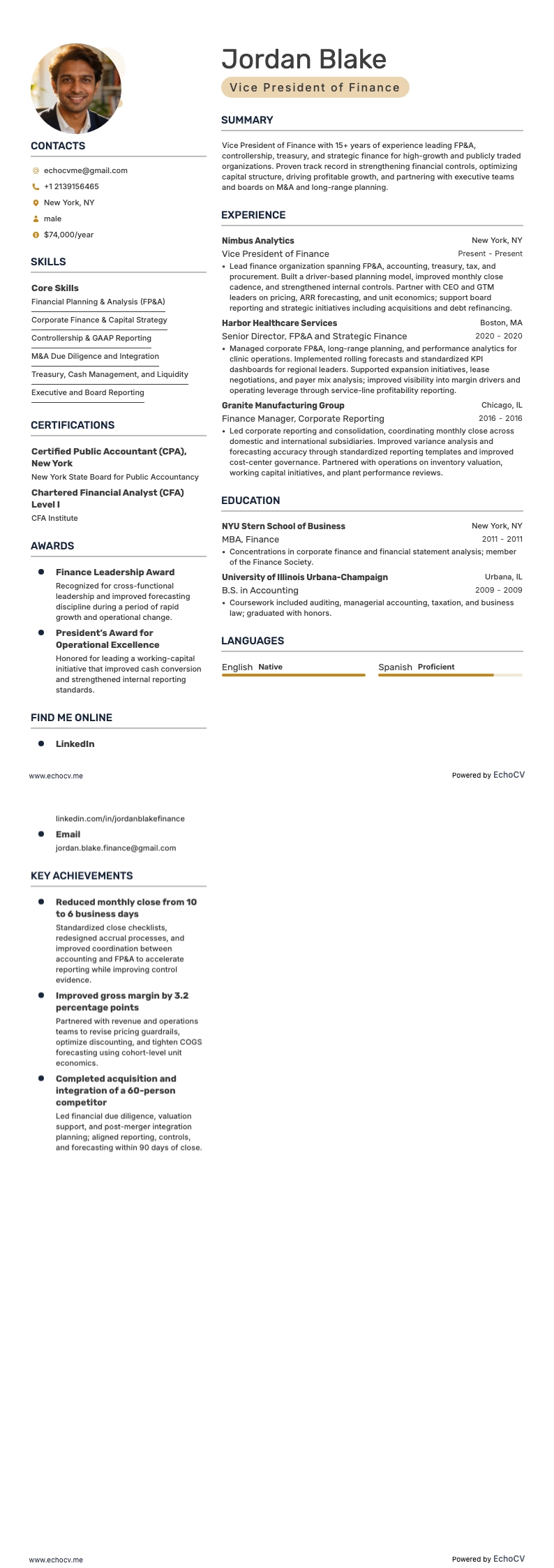 Vicepresidente de Finanzas example resume