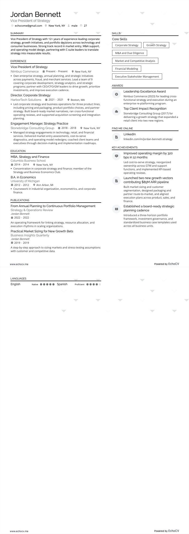 Vicepresidente de Estrategia example resume