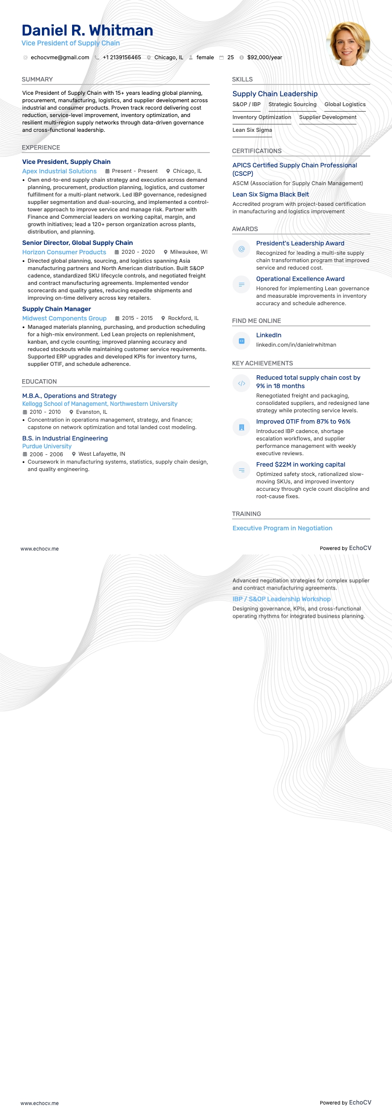 Vizepräsident für Lieferkette resume example