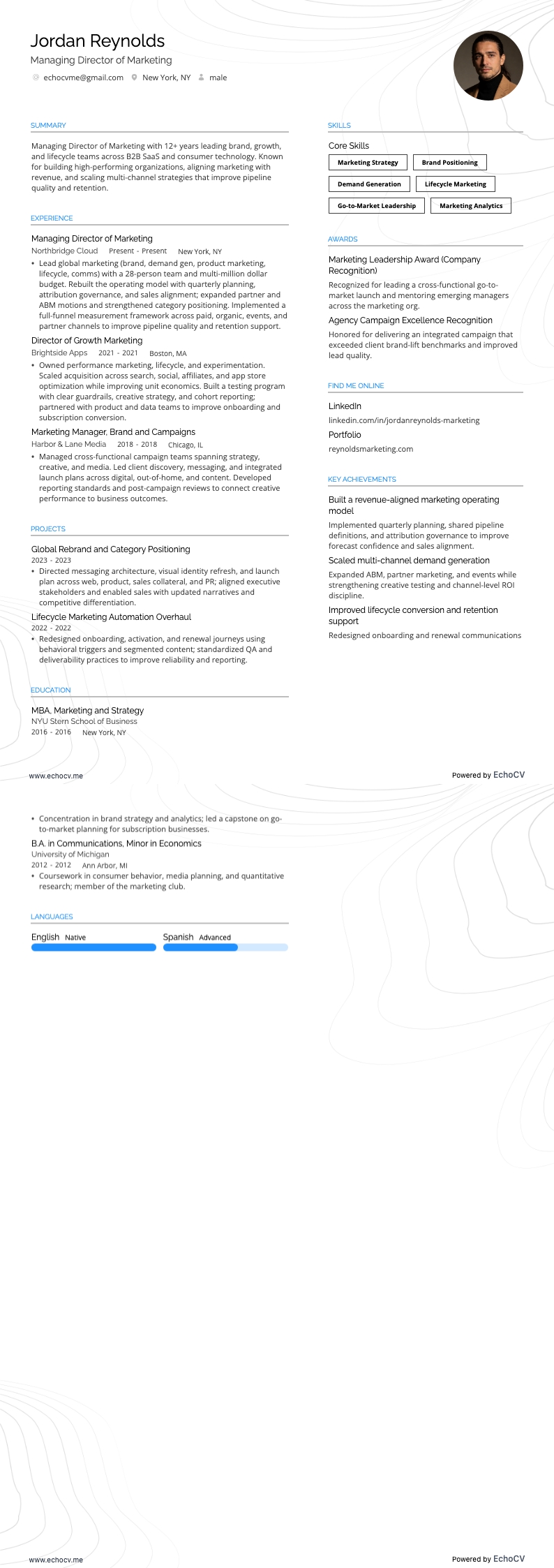 市场营销总经理 example resume