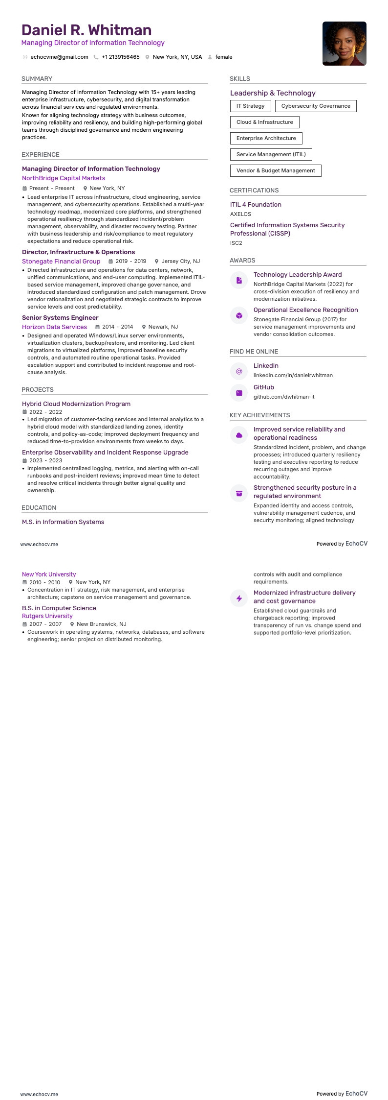 信息技术总经理 example resume