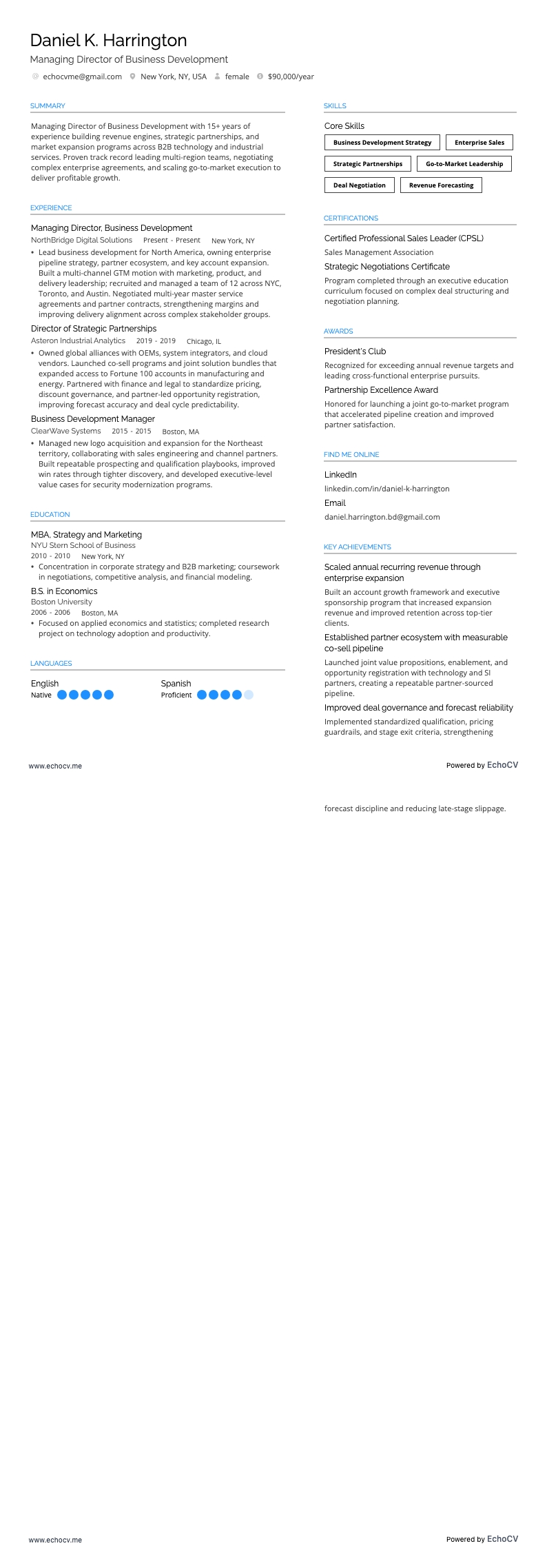 业务发展董事总经理 example resume