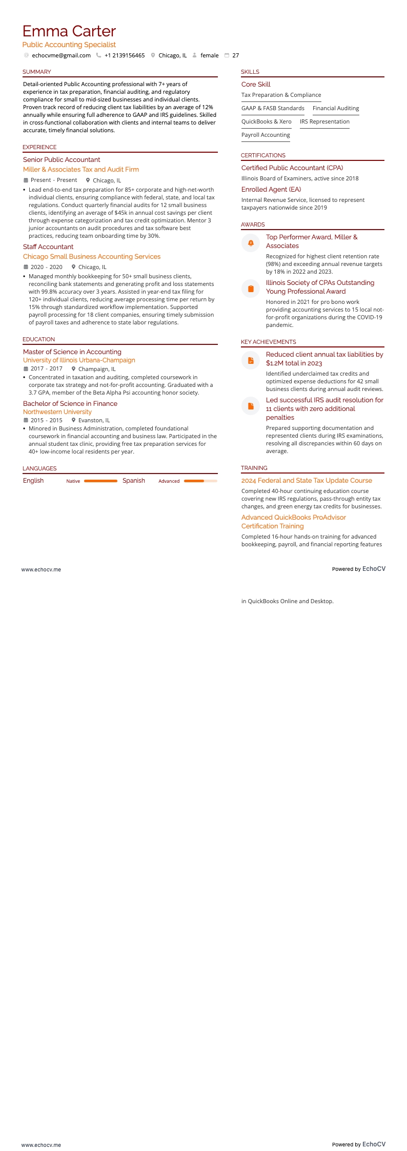 公会計 example resume