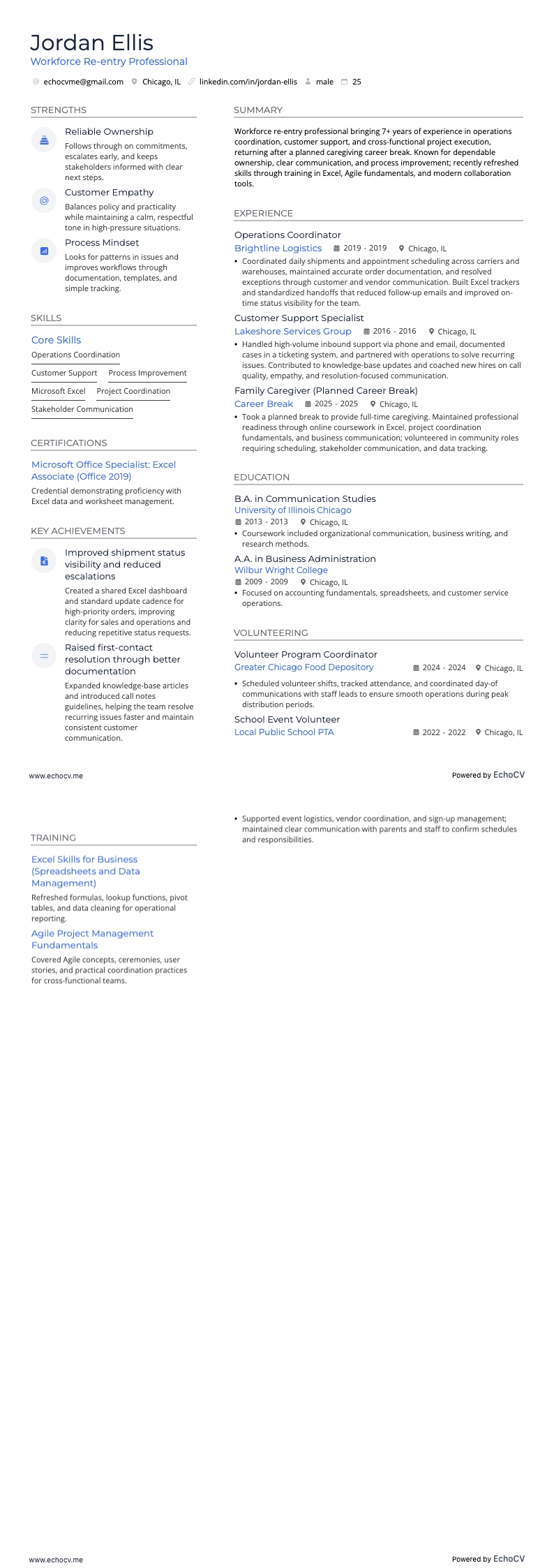 Workforce Re-entry Professional example resume