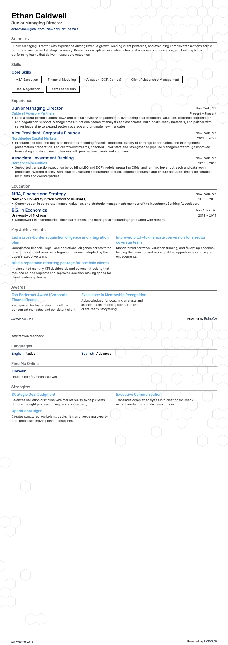 初级总经理 example resume