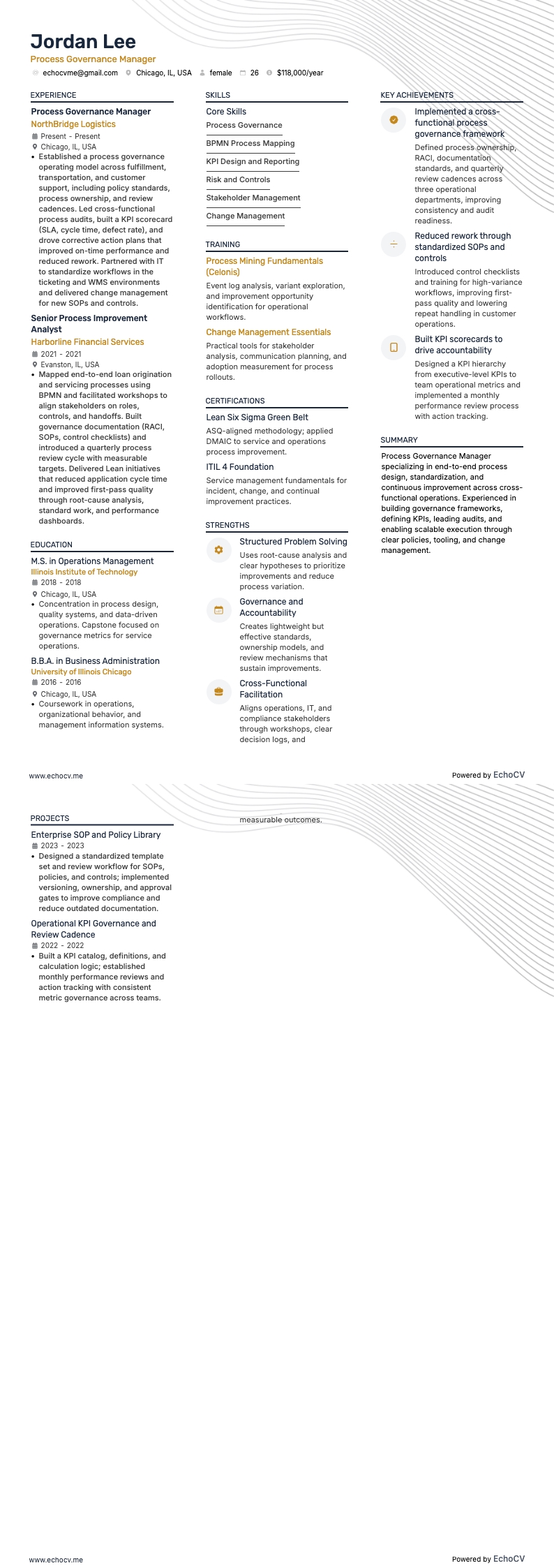 Gerente de Procesos resume example
