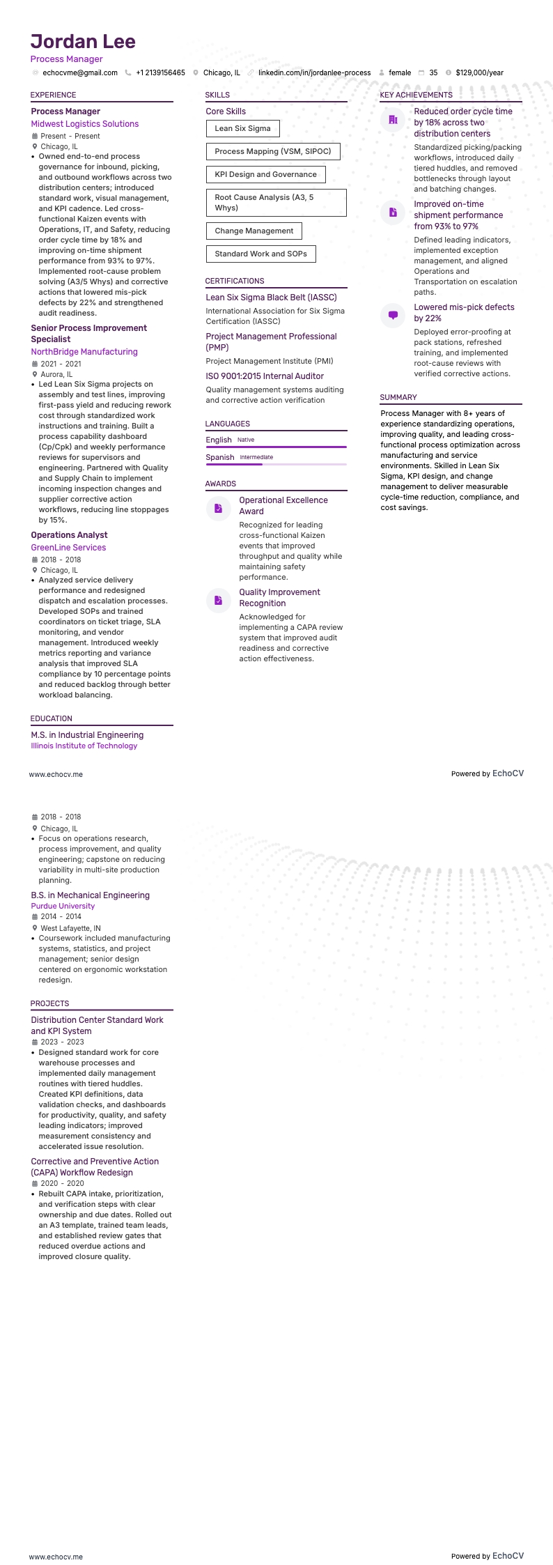 Process Manager resume example
