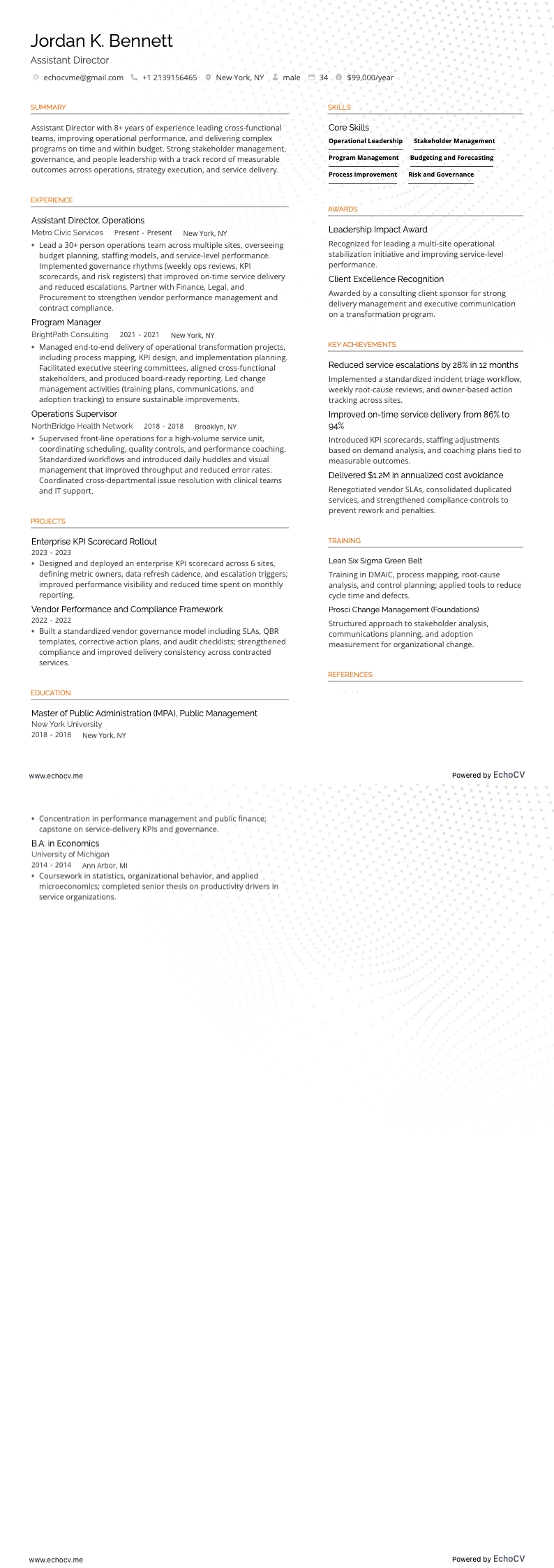 副導演 example resume