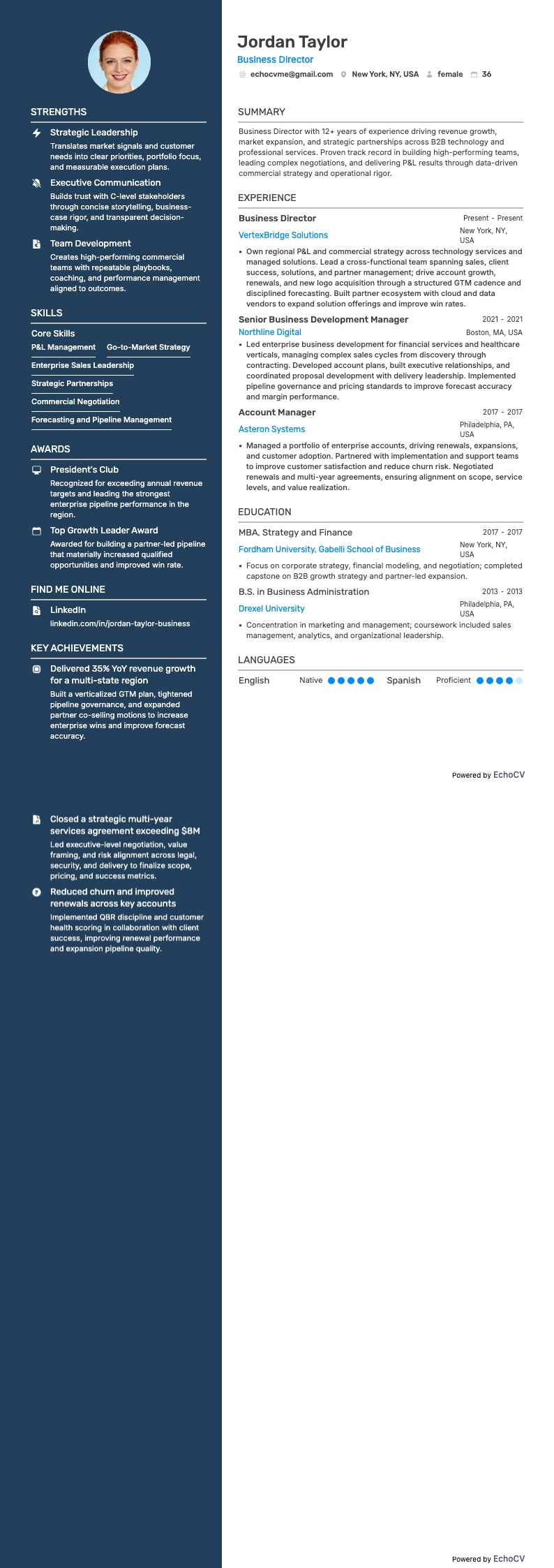 業務總監 example resume