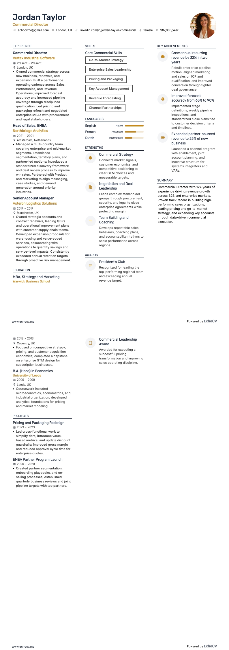 商務總監 example resume