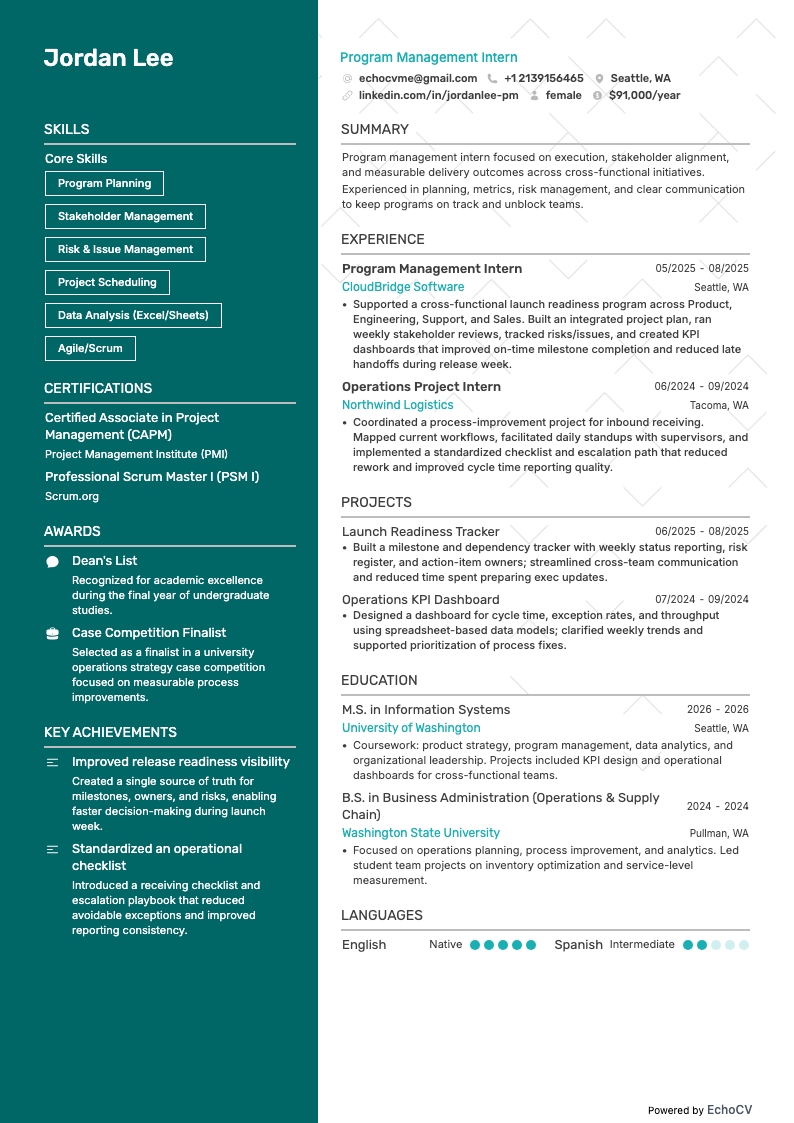 Principal programmamanager resume example