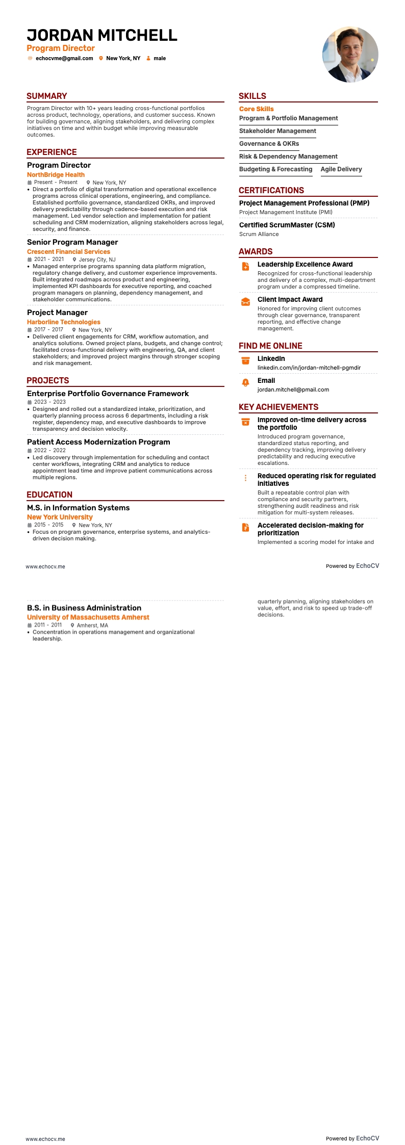 專案總監 example resume