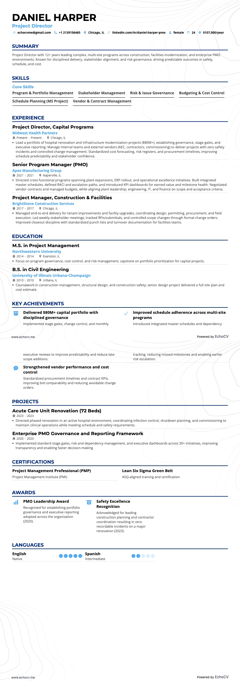 專案總監 example resume