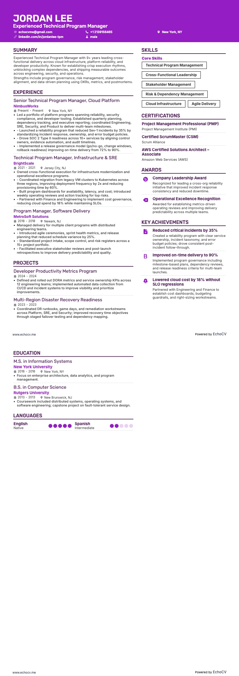 経験豊富なテクニカルプログラムマネージャー の全体プレビュー