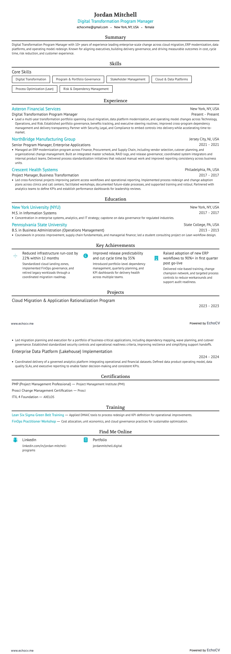 Programmamanager digitale transformatie example resume