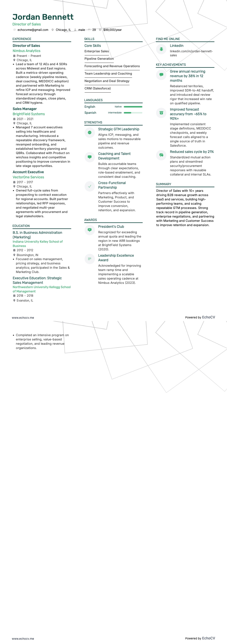 銷售總監 example resume