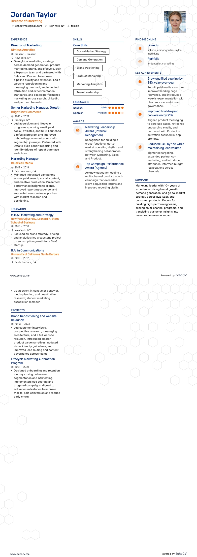 行銷總監 example resume