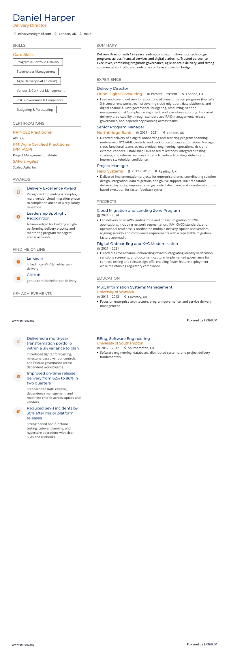 Direttore di progetto resume example