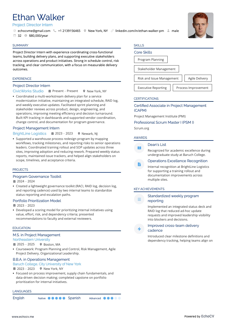 Director de Proyectos resume example