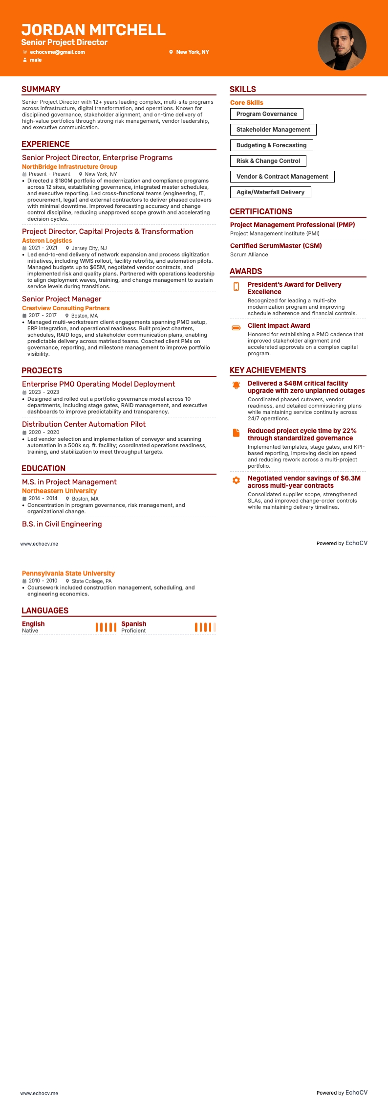 Project Director resume example